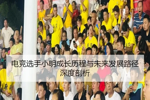 电竞选手小明成长历程与未来发展路径深度剖析